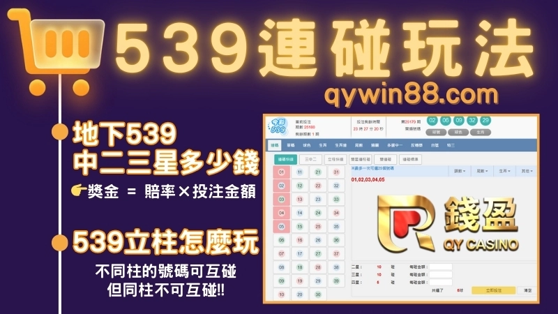 地下539玩法